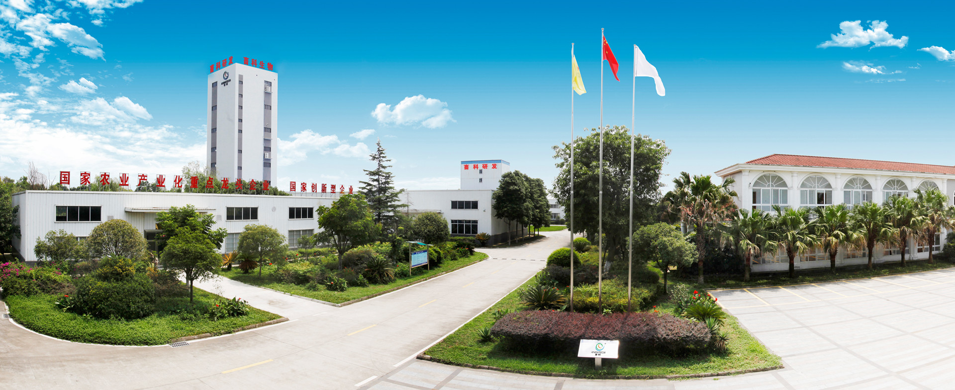 竞技宝官网测速入口